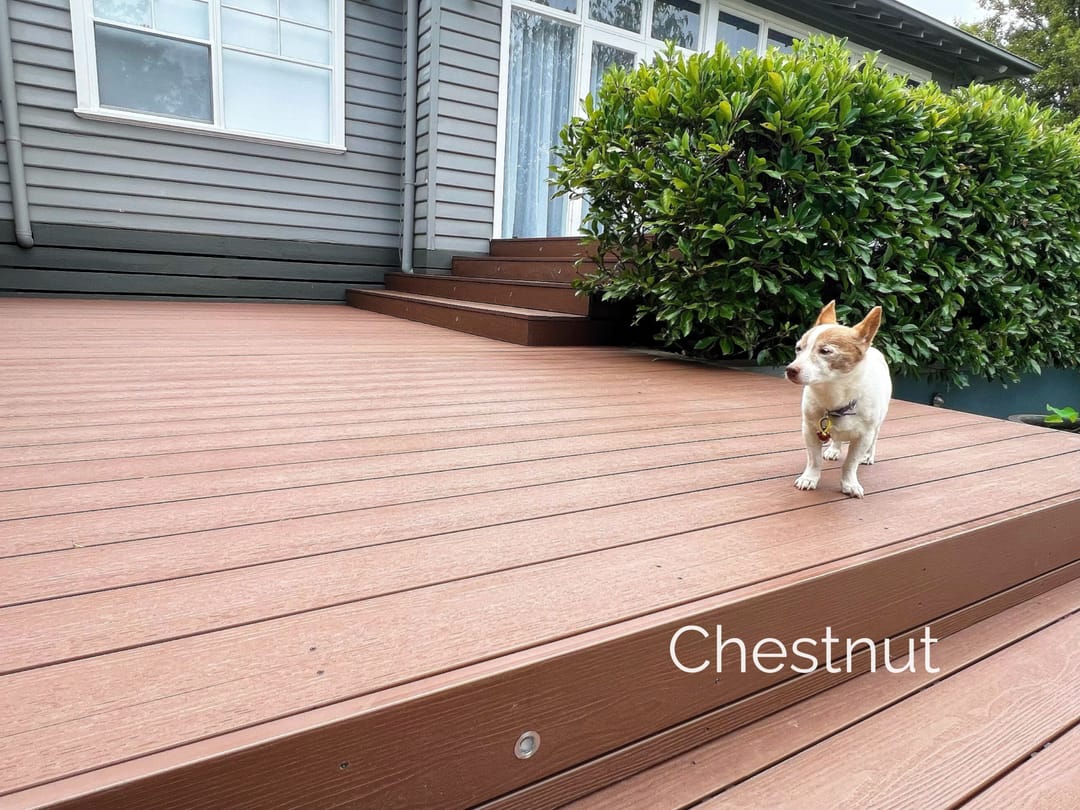 Wide Evertex Essence Chestnut deck with low steps in front of a grey weatherboard house, a small dog on the boards