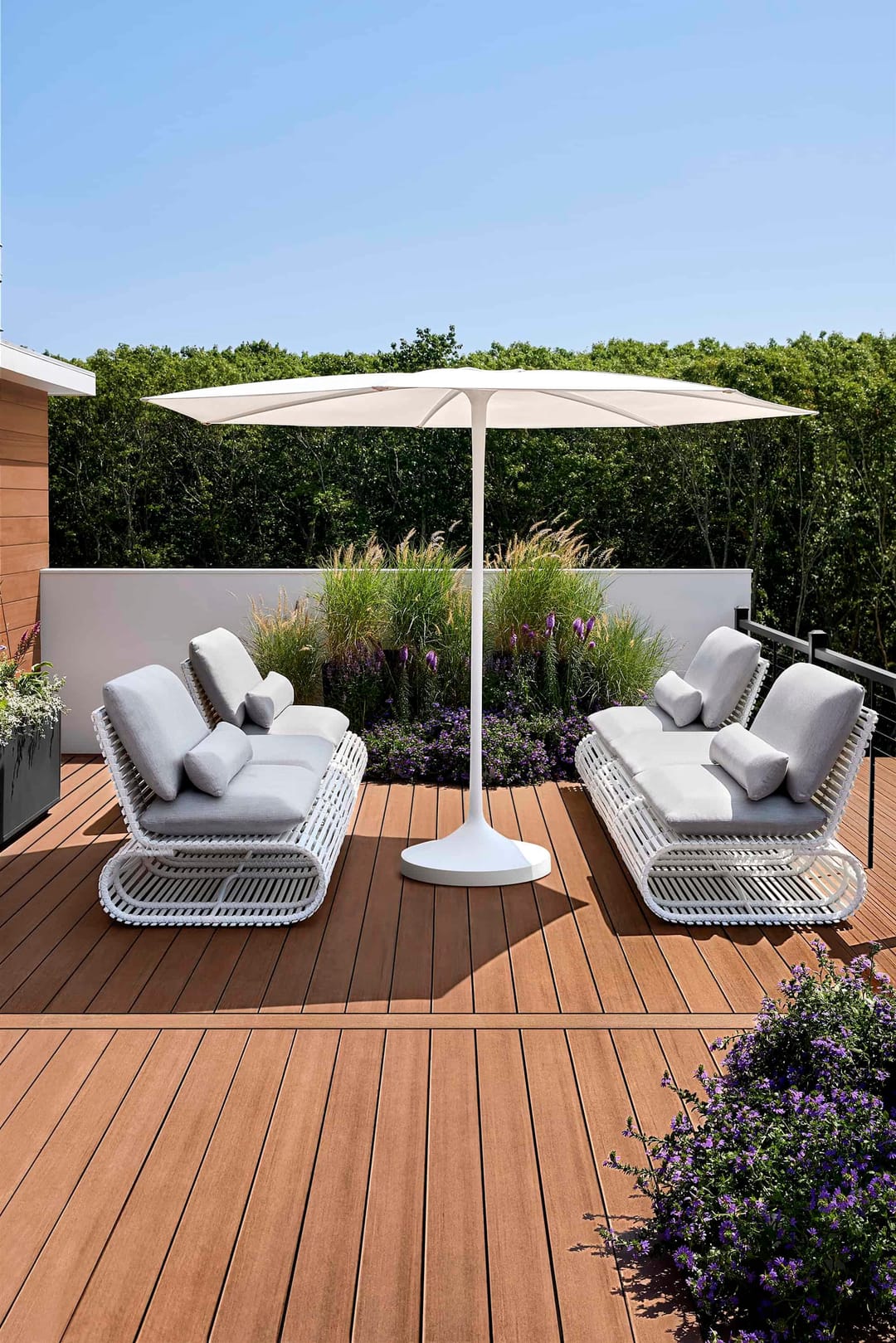 Reddish Mahogany deck with two white loungers under a white umbrella, ornamental grasses and a tall hedge