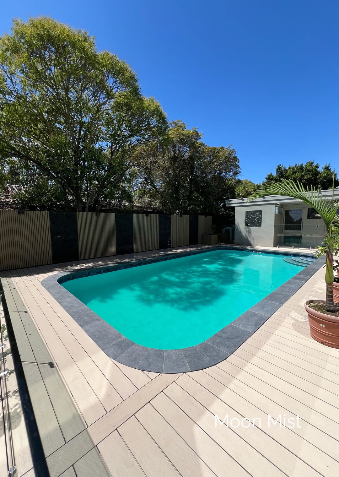 Pale Evertex Essence Moon Mist deck surrounding a rectangular in-ground pool with dark coping and tall trees behind