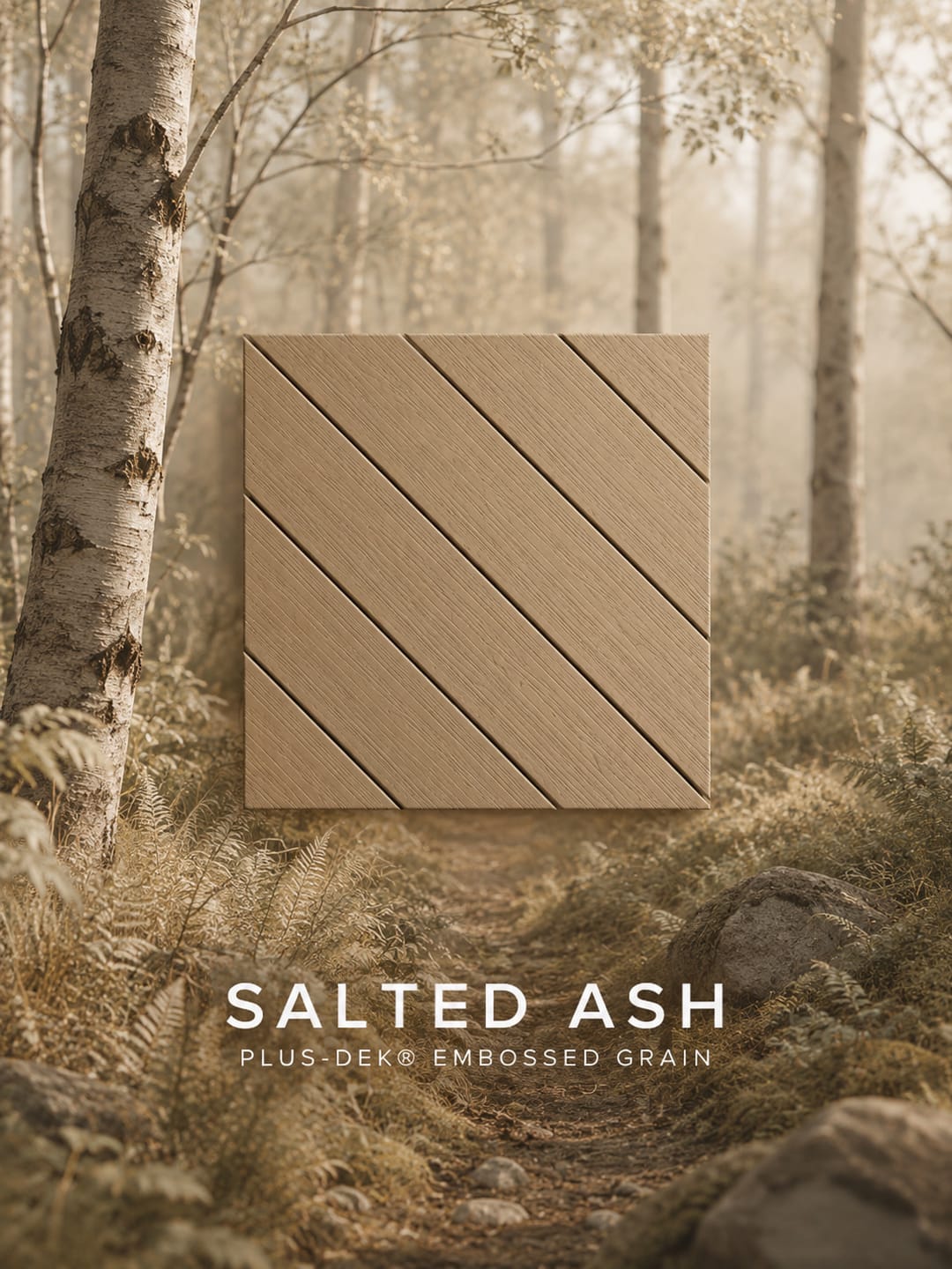 PLUS-DEK Embossed Grain colour card: a pale ash-beige Salted Ash board sample shown over a misty birch forest, labelled with the colour name